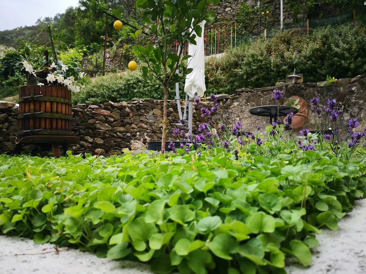 Il Giardino Di Riomaggiore 0*,